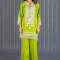 Sabz Green Kurta Set